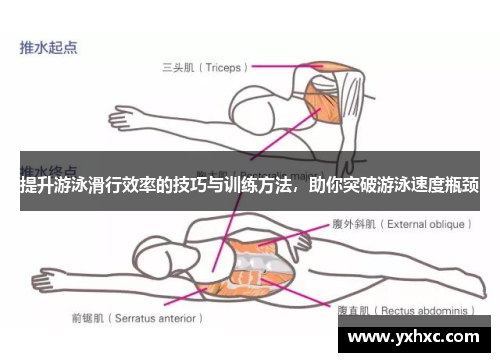 提升游泳滑行效率的技巧与训练方法，助你突破游泳速度瓶颈